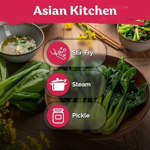 3700 Jung Green Yu Choy Sum Vegetable Seeds, Brassica Rapa VAR Parachinesis - Image 6