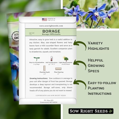 Sow Right Seeds-Borage Seed for Planting Medicinal Culinary Herb Garden 2pk - Image 2