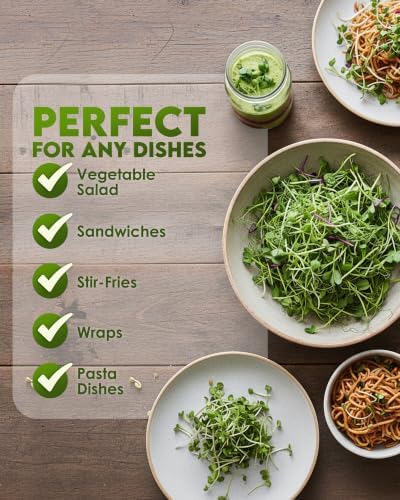 Nature Jim's Sprout Organic Broccoli Seeds – Non-GMO, Sprouting Seeds - 8oz - Image 6
