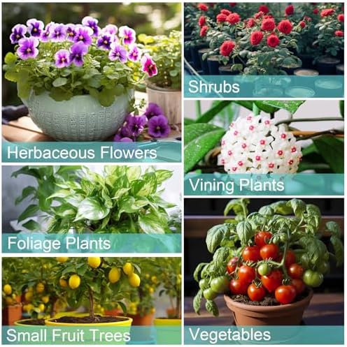 Potting Soil Mix 10qt for Indoor Plants, Organic Houseplant Soil Well Draining Dirt Ready to Use, Fit for House Plant Like Pothos, Philodendron, Monstera, African Violet - Image 3