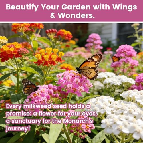 Milkweed Seeds Mix for Monarch Butterflies - Fruivity 5 Varieties Mixed Perennial Wildflower Milkweed Seeds Butterfly, Common, Showy, Pink Swamp & White Swamp - Flower Seeds for Garden - Image 6