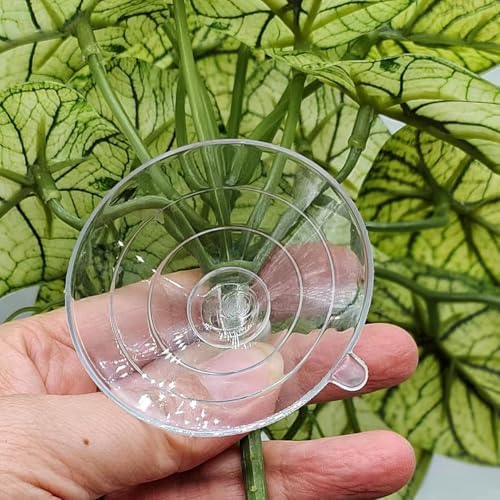 Reptile Plants for Terrarium,Habitat Decor, Hanging Plant with Suction Cup - Image 4