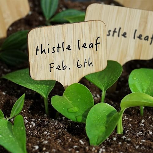 OBTANIM 75 Pack Bamboo Rectangle Plant Labels with A Marker Pen, Garden Markers Sign Plant Tags for Seedling Potted Herbs Flowers Vegetables - Image 7