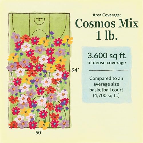 Ferry-Morse Bulk Cosmos Seed Mix, 68,000+, 1 lb - Image 5