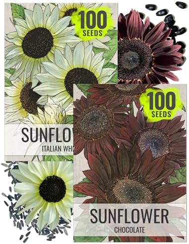 Seed Needs Sunflower Seeds Variety Pack of 2 Helianthus Flowers to Plant by SeedNeeds