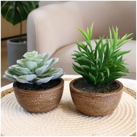 Artificial Succulents Plastic Artificial Green Plant for Office, Fake Succulents for Home Decoration (Set of 2 Succlents in Pots) - Image 6