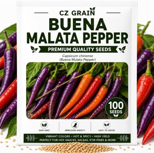 Buena Mulata Pepper Seeds | Purple to Red Hot Peppers | 100 Seeds by CZGrain
