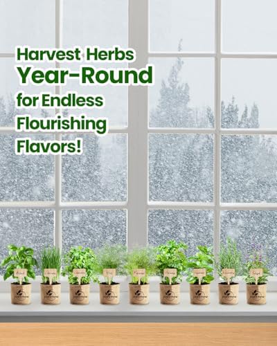Gift for Women, Mom, Her – 9 Herb Indoor Window Garden Kit - Image 6