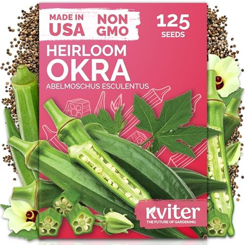 125 Clemson Spineless 80 Okra Vegetable Seeds, Abelmoschus Esculentus by KVITER