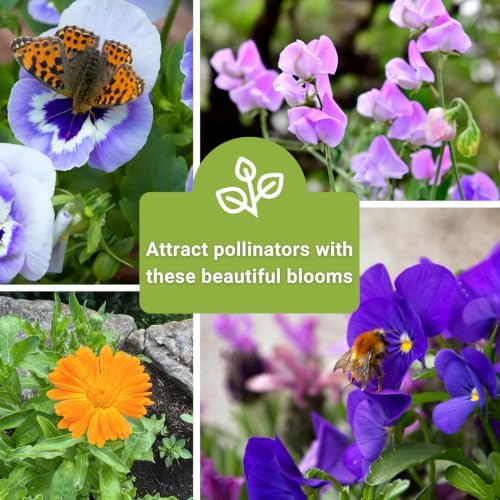 Sow Right Seeds - Frost Hardy Flower Seed Collection for Planting Garden - Image 6