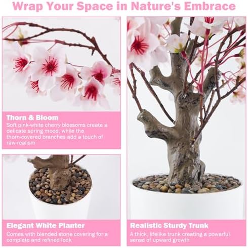 Caxchiling Artificial Cherry Blossom Tree 2FT, Faux Potted Tree Indoor - Image 3