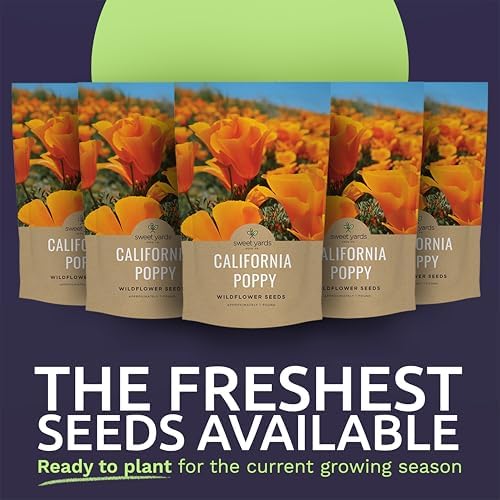 Bulk California Orange Poppy Wildflower Seeds - 5 Pounds - Over 1,600,000 Native Seeds - California State Flower! - Image 2