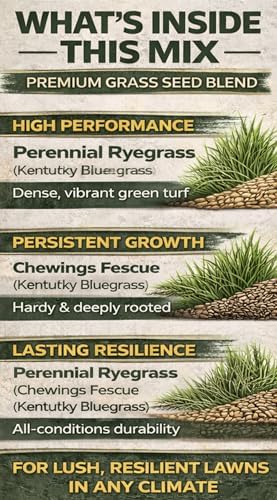 25 LB Premium Mix Grass Seed - Image 5
