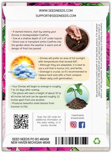 Seed Needs Violet Queen Zinnia Seeds to Plant Cut Flowers - 5 Packs - Image 2