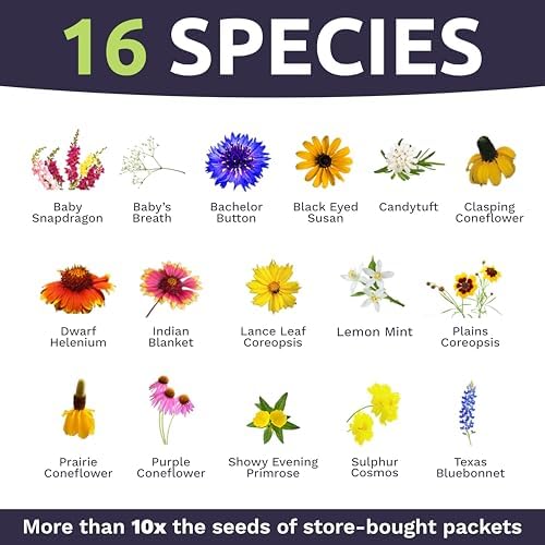 Texas Oklahoma Wildflower Seeds Mixture - Bulk 1/4 Pound Bag - Over 60,000 Native Seeds - Open Pollinated and Non GMO - Image 4