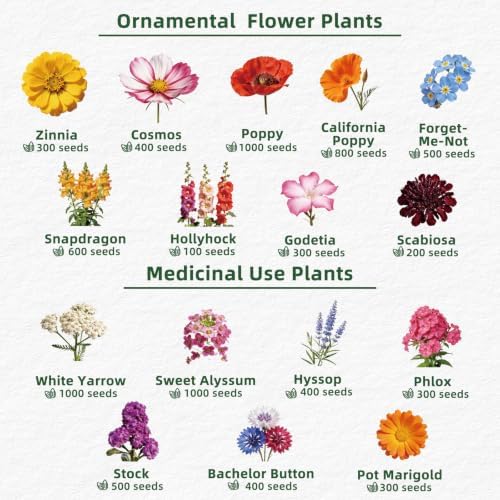 30 Edible Flower Seeds Variety Pack, Wildflower Seeds Mix for Indoor & Outdoors, 13,500+ Non-GMO Heirloom Seeds Culinary & Tea Garden, Easy-Grow Blooms for Salads & Cocktails - Image 3