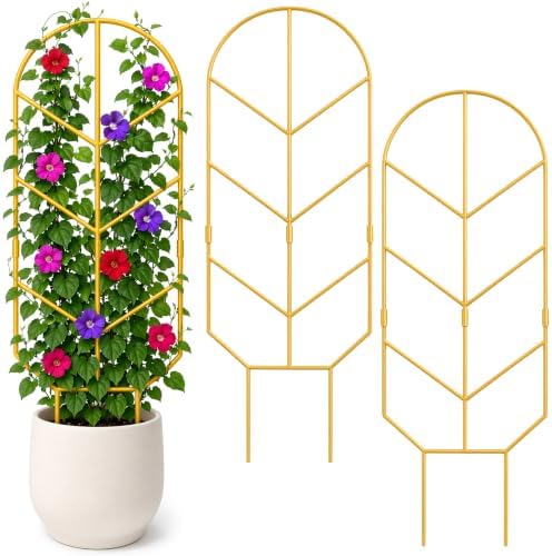 2 Pack Large Climbing Plant Trellis, 30'' Tall Garden Support for Potted Plants Indoor, Modern Decorative Trellis for Crawling Plants Jasmine, Wisteria and Lilac Vines (Gold) by Unknown
