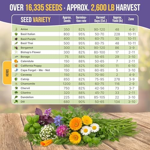 35 Medicinal & Tea Herb Seeds Variety Pack for Indoor & Outdoors. 16,335+ Non-GMO Heirloom Garden Seeds: Anise, Bergamot, Borage, Cilantro, Chamomile, Dandelion, Rosemary Seeds & More - Image 4