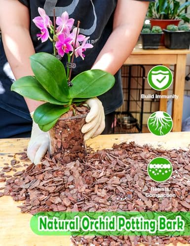 TOYPOPOR Orchid Potting Mix, (3 Quarts)Orchid Bark With Perlite, Potting Soil Medium for Plant Indoor, Pine Bark Wood Chips for Houseplant Fast Drainage, Water Retention, Air Flow and Root Ventilation - Image 3