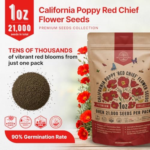 California Poppy Red Chief Seeds 1oz Over 21,000 Non-GMO Heirloom Eschscholzia californica Seeds for Planting, Individual Seed Packet, Planting Home Garden Indoor & Outdoor - Image 3