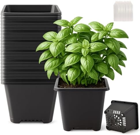 25 Packs Square Nursery Pots for Plants 6.1 Inch Seedling Pots with Holes by Unknown