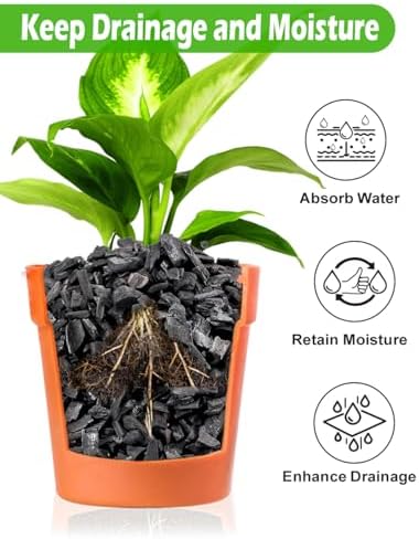 TOYPOPOR Horticultural Charcoal for Indoor Plants (3 Quarts) Hardwood Potting Soil Amendment Helps Improve Drainage for Orchids, Succulent, Cactus, Terrariums, and Gardening - Image 6