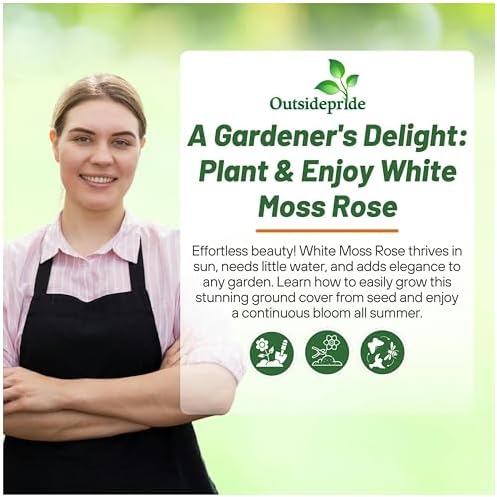 Outsidepride White Moss Rose Seeds - 250 Pcs Annual, Drought & Heat Tolerant, Pollinator Friendly Ground Cover Seeds for Planting w/Vibrant Blooms & Succulent Foliage, Ideal for Xeriscaping - Image 5