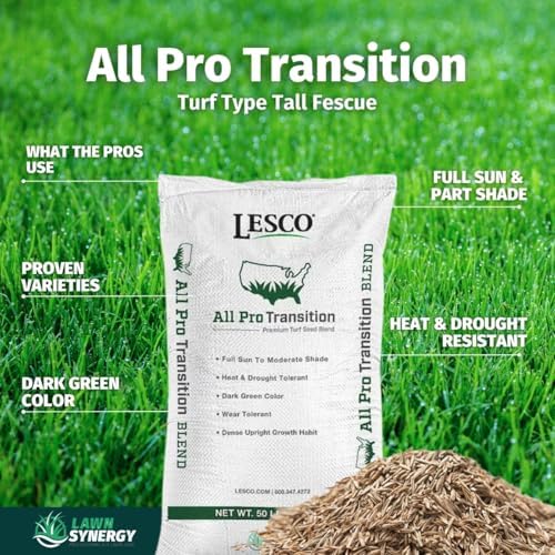 Lawn Synergy Lesco All-Pro Tall Fescue Grass Seed, Drought-Tolerant, 10 lbs - Image 2