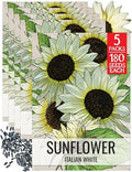 Seed Needs Italian White Sunflower Seeds to Plant Cut Flowers - 5 Packs by SeedNeeds