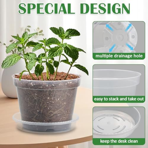 7 Pack 8 Inch Clear Nursery Pots with Saucer, Transparent Plastic Plant Pot with Drainage Holes, Sturdy Plant Starter Pots, Planter Pot for Planting Succulent Flower Herb Vegetable, Gardening Gifts - Image 3