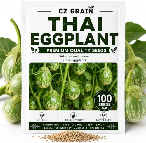 Thai Eggplant Seeds for Planting | 100 Seeds | Green Garden Vegetable by CZGrain