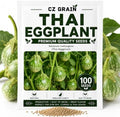 Thai Eggplant Seeds for Planting | 100 Seeds | Green Garden Vegetable by CZGrain