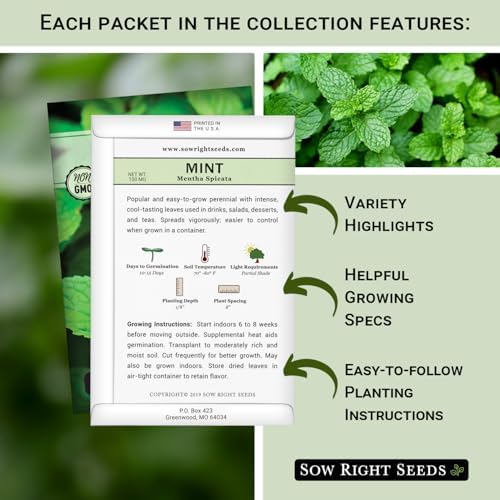 Sow Right Seeds - Mint Garden Seed Collection for Planting Herb Garden - Image 2