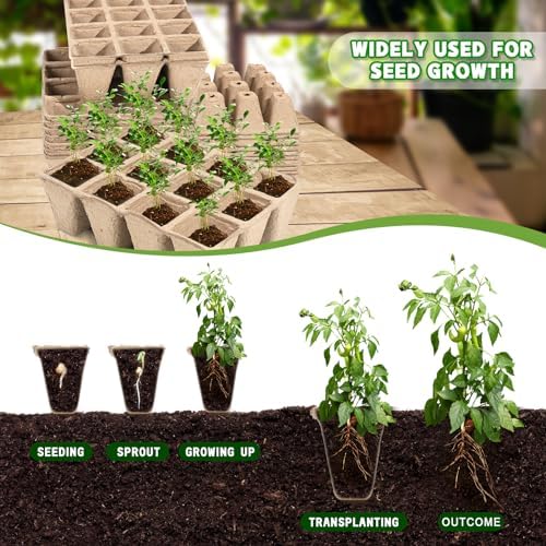 10 Packs Seedling Starter Trays, 120 Cells Biodegradable Seed Starter Plant Pots，Seed Germination Starter Tray Kit with 20 Labels, 2 Transplant Tools - Image 3