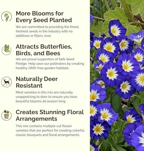 Eden Brothers Blue Ribbon Flower Mixed Seeds for Planting, 1 lb, 480,000+ Seeds with Blue Bell, Cornflower Blue, Chicory | Attracts Pollinators, Plant in Spring or Fall, Zones 3, 4, 5, 6, 7, 8, 9, 10 - Image 4