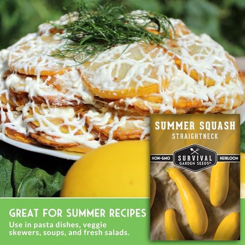 Yellow Straightneck Squash Seeds for Planting (5 Packs) - Image 5