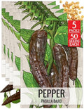 Seed Needs Pasilla Bajio Hot Pepper Seeds to Plant Vegetables - 5 Packs by SeedNeeds
