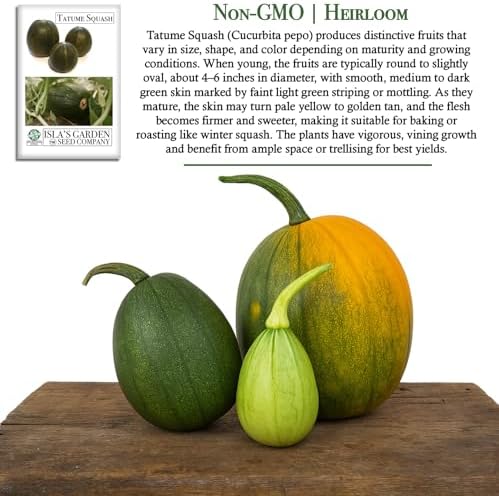 Tatume Squash Seeds (Cucurbita Pepo) – Also Known as Calabacita, Tatuma, or Mexican Round Zucchini – 30+ Non-GMO Heirloom Seeds by Isla’s Garden Seeds, Vigorous Vining Summer Variety, Heat-Tolerant - Image 4