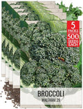 Seed Needs Waltham 29 Broccoli Seeds to Plant Heirloom & Non-GMO 5 Packs by SeedNeeds