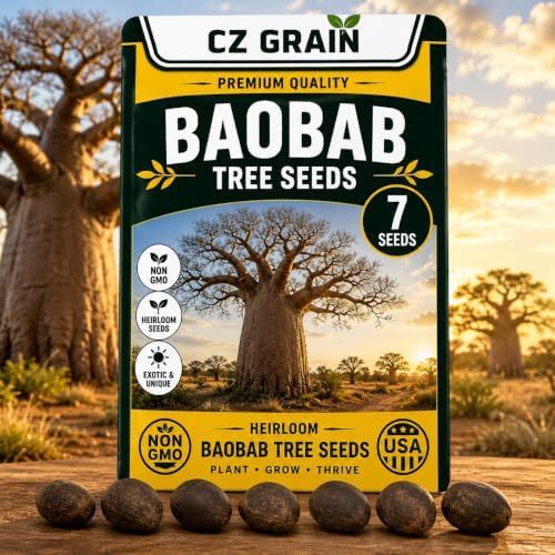 7 Baobab Tree Seeds | Exotic Tropical Bonsai Seeds for Planting by CZGrain