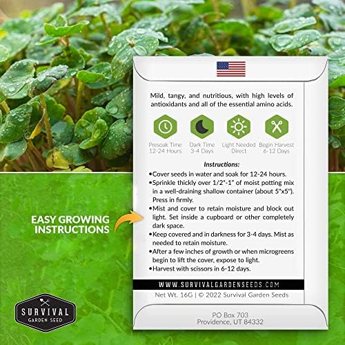 Buckwheat Sprouting Seeds - Survival Garden Seeds (2 Pack) - Image 2