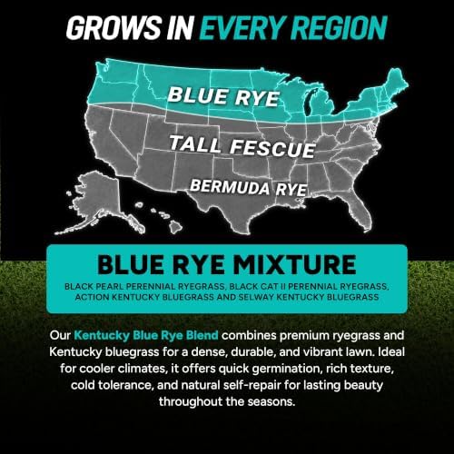 Growtrax Biodegradable Grass Seed Mat - 200 Sq Ft Kentucky Blue & Rye Blend - Image 6
