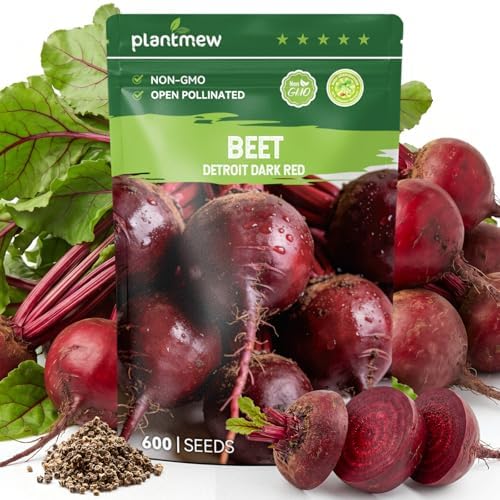 Detroit Dark Red Beet Seeds – 600 Heirloom Seeds for Planting, Open-Pollinated Garden Vegetable Root Seeds for Home Gardens by PLANTMEW