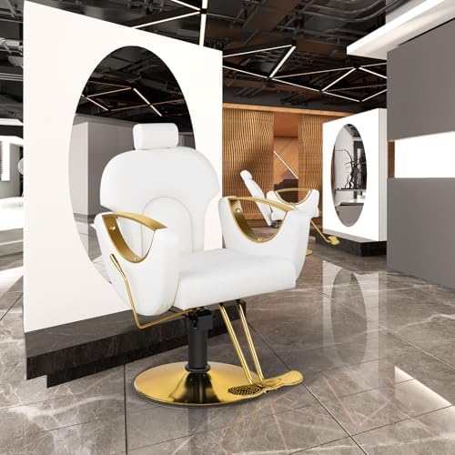Salon Chair for Hair Stylist, Reclining Hair Salon Chair for Home - Image 2