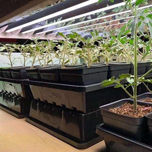 Bootstrap Farmer 32 Cell Seed Starter Kit, 2-Pack with 6 Inch Domes and Heavy Duty 1020 Trays, Reusable Propagation System for Commercial Growers - Image 5
