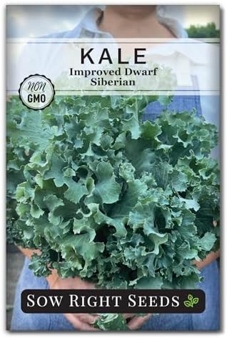 Sow Right Seeds - Dwarf Siberian Improved Kale Seed for Planting Garden by SowRightSeeds