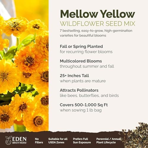 Eden Brothers Mellow Yellow Flower Mixed Seeds for Planting, 1 lb, 480,000+ Seeds with Painted Daisy, Zinnia, Cosmos | Attracts Pollinators, Plant in Spring or Fall, Zones 3, 4, 5, 6, 7, 8, 9, 10 - Image 2