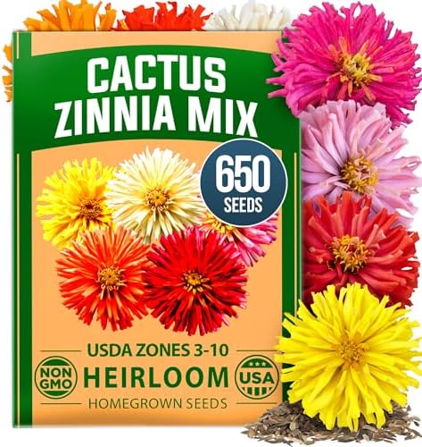HOME GROWN Zinnia Cactus Mix 650 Flower Seeds Zinnia elegans by HOMEGROWN