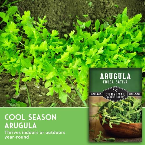 Arugula Seeds for Planting - Survival Garden Seeds (2 Pack) - Image 5
