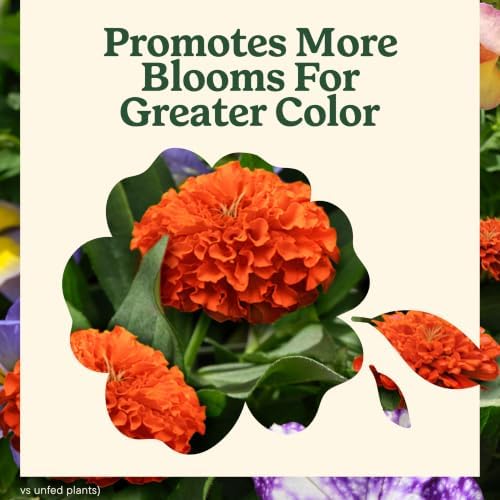 Miracle-Gro LiquaFeed Advance Starter Kit & Bloom Booster Flower Food - Image 6